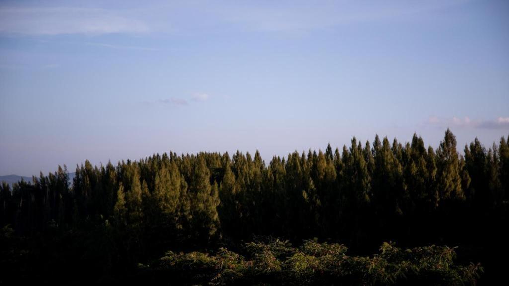 Ban Huai Phai Pino Latte Resort And Hotel מראה חיצוני תמונה